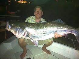 Image result for Newhaven Deep Sea Anglers