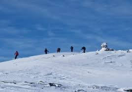 Image result for Tyneside Loipers