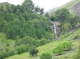 Image result for SIMTA Cumbria