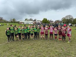 Image result for Effingham and Leatherhead Rfc