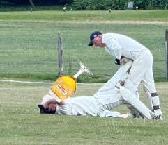 Image result for Bashley (Rydal) Cricket Club