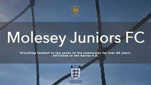 Image result for Molesey Juniors Football Club