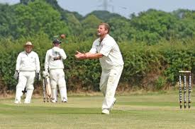 Image result for Redlynch and Hale Cricket Club