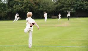 Image result for East Grinstead Cc