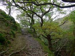 Image result for EXETER RAMBLING CLUB
