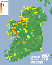 Attēlu rezultāti vaicājumam “Bryum neodamense”