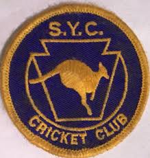 Image result for Dinas Powys Cricket Club