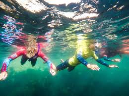 Image result for Dorking Snorkelling Club