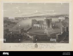 Image result for Newdigate F C