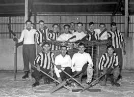 Image result for West Coast Wasps Skater Hockey Club