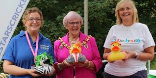 Image result for Pontblyddyn Cricket Club