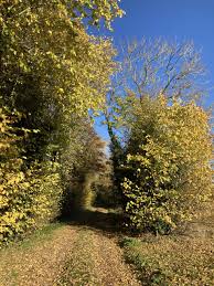 Image result for Abbotsley