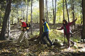 Image result for West Cumberland Orienteering Club