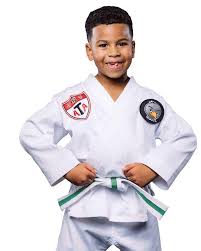 Image result for Martial Arts Karate Mesa AZ