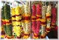 Little India Singapore Photo Tour 5 - Colourful Buffalo Road ...
