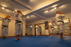 Image result for Bournemouth Shorinji Kempo Club