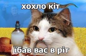 images?q=tbn:ANd9GcSGAB4v-em33TDdJrte3rEVTK80jHTf5ThaRUqZM0UPp7qfpnSfTQ