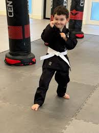 Image result for Dragon Wushu Club