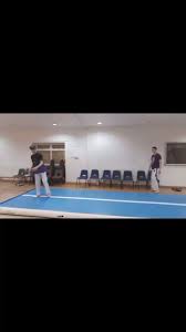 Image result for Capoeira Senzala Grantham