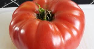 Afbeeldingsresultaat voor 1884 purple tomato