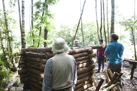 Image result for Nutley Hall Cricket Club