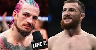 Image result for მერაბი