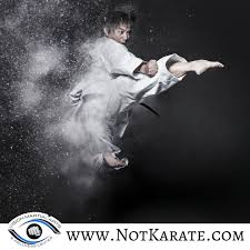 Image result for Vision Martial Arts