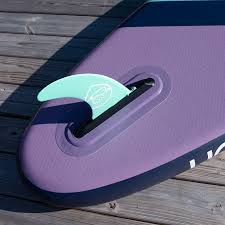 Image result for Dolphin Sub Aqua