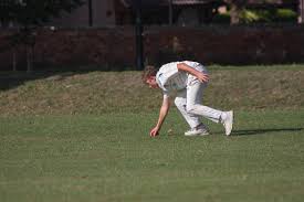 Image result for Hampole & Skelbrooke Cricket Club