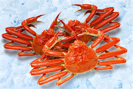 Image result for Chionoecetes opilio