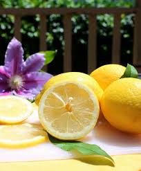 Attēlu rezultāti vaicājumam “Clematis fruit”