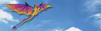 Image result for BARNET and WHETSTONE CHANGQUAN FLYING DRAGON