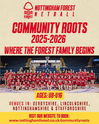 Image result for Sanders Netball Club