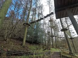 Image result for Go Ape! Dalby