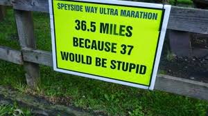 Image result for stonehaven gymnastics club