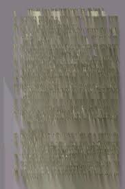 Attēlu rezultāti vaicājumam “Didymium xanthopus macro”