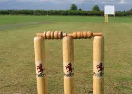 Image result for Theale and Tilehurst Cricket Club