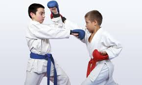 Image result for Norfolk Karate