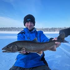 Image result for Salvelinus namaycush