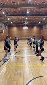 Image result for Wokingham Netball Club