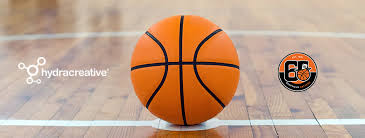 Image result for Sheffield Hatters Basketball Club