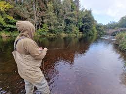 Image result for Cobham Court Angling Club