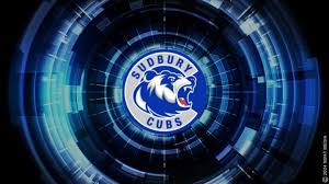 Image result for Sudbury Tchoukball Club