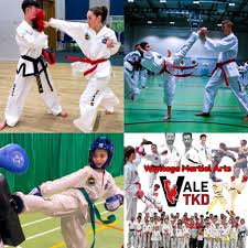 Image result for Wantage TAGB Tae Kwon-Do