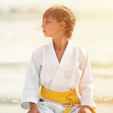 Image result for Windsor Higashi Karate Club