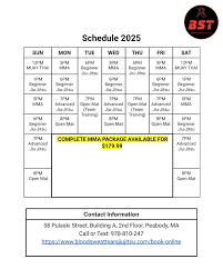 Image result for Blood Sweat and Tears Mixed Martial Arts Academy