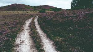 Image result for Winfrith Sac