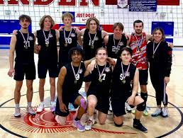 Image result for British Airways Volleyball Club