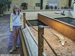 Image result for Clyde Valley Predators