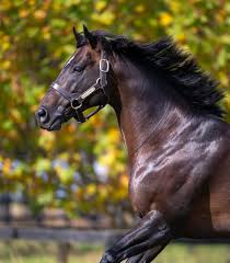 Image result for Bletchingly Badminton Club